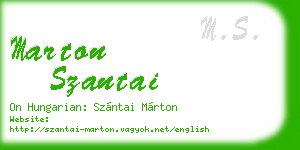 marton szantai business card