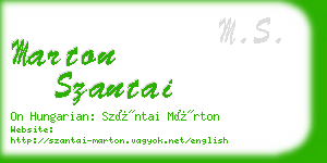 marton szantai business card